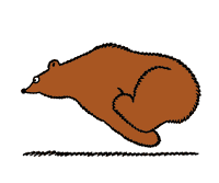 Le site de Philippe Coudray