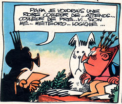Peau de Bique de Claire Brétécher dans le DVD de « Peau d'Âne »