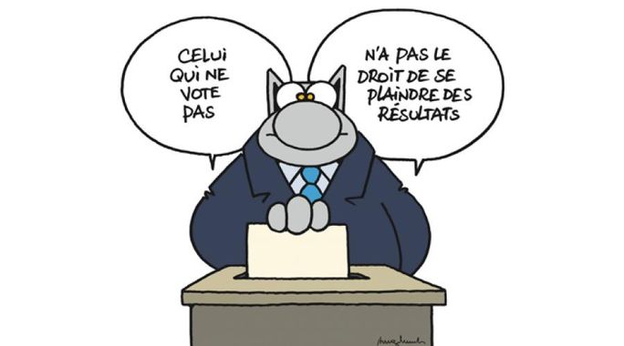 Une pétition en faveur du Musée du Chat à Bruxelles dépasse les 8000 signatures