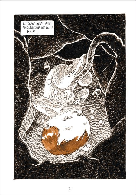 Notes T9 : Peu d'or et moult gueule - Par Boulet-Delcourt/Shampooing