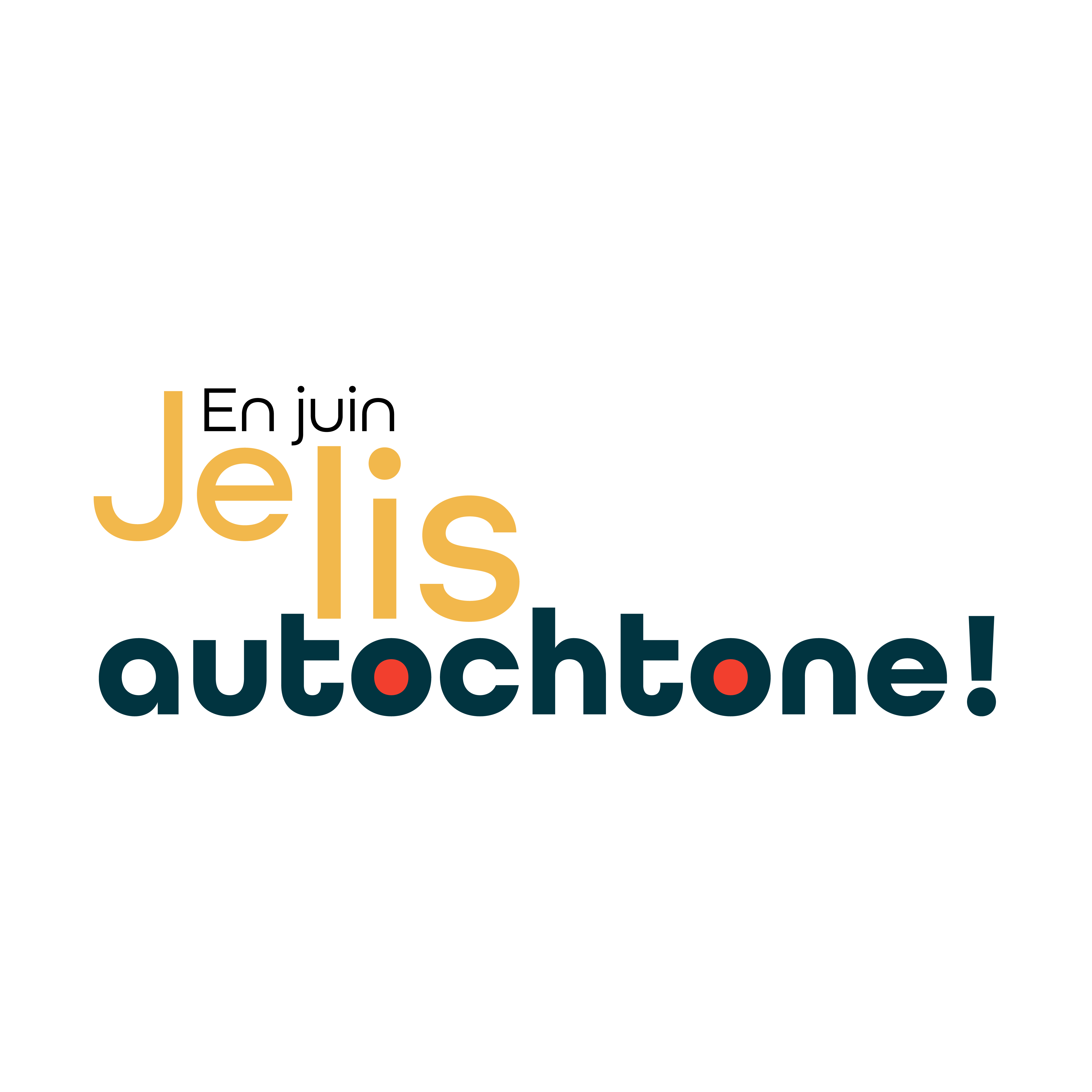 Choses vues à Montréal - Je lis « autochtone »