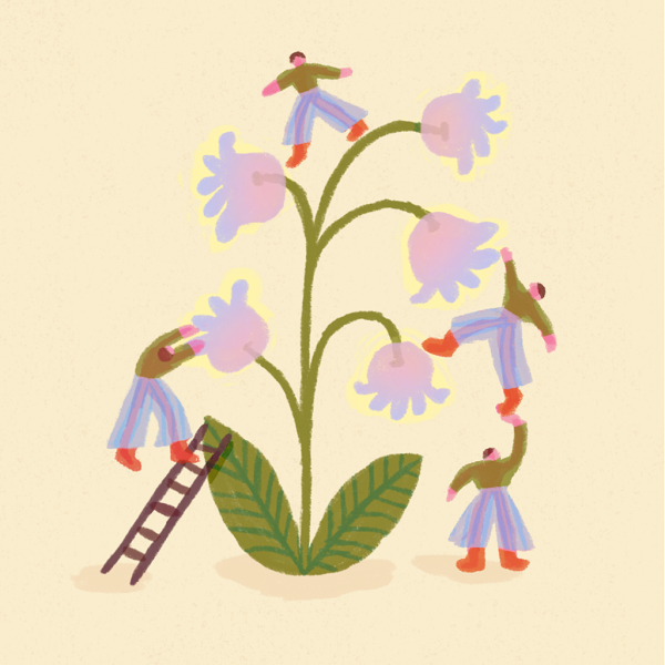 Repère, le nouveau festival d'illustration de Lyon