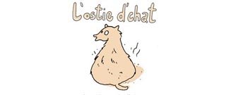 Iris et Zviane (<i>L'ostie d'chat</i>) : « Notre but premier dans ce projet, c'est d'avoir du fun. » 