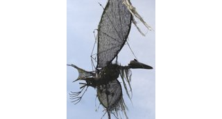 Sokal effraie les oiseaux