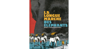 La Longue marche des éléphants - Par Troubs & Dumontheuil-Futuropolis