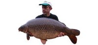 « Il n'est pas frais, mon poisson ? »