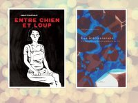 Deux livres, deux voyages graphiques et poétiques à découvrir !