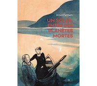 "Un Soleil entre des planètes mortes" : Anneli Furmark invente le bovarysme nordique
