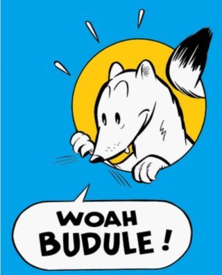 Budule : le vinted spécialisé en BD tient la forme