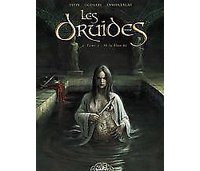 Les Druides - T2 : Is la blanche- par Istin, Jigourel & Lamontagne - Soleil