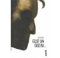 C'est un oiseau - Par Steven T. Seagle et Teddy Kristiansen - Urban Comics