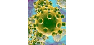 La bande dessinée atteinte par le Coronavirus