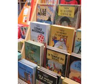 Casterman, Fluide Glacial et le groupe Flammarion rachetés par Gallimard ?