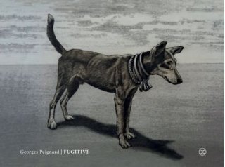 Fugitive – Par Georges Peignard – Éditions Le Tripode