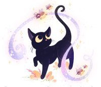 Stella et Luna : l'autoedition au service d'un projet solidaire