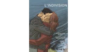 L'Indivision - Par B. Springer et Zidrou - Futuropolis
