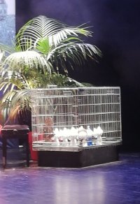 Grand Prix d'Angoulême : le FIBD fait un rappel au règlement
