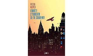 Arrête d'oublier de te souvenir – Par Peter Kuper – çà et là