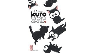 Manga : la France aime les poils !
