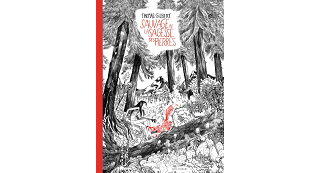 "Sauvage ou la sagesse des pierres" : une fable écolo et existentielle de Thomas Gilbert