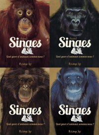 Singes - Par Aurel - Futuropolis