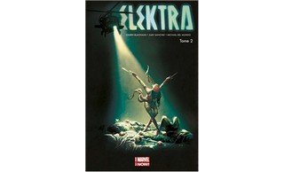 Elektra | Mort à la guilde des assassins – Par Haden Blackman, Alex Sanchez & Michael Del Mundo (trad. Makma/Mathieu Auverdin) – Panini Comics