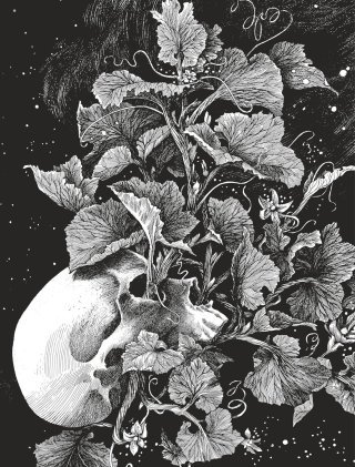 Daria Schmitt au Comptoir du rêve BD (31)