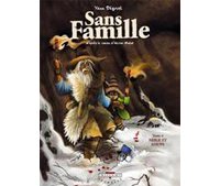 Sans Famille -T4 : Neige et loups - par Yann Dégruel d'après H. Malot - Delcourt