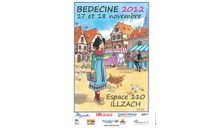 Bédéciné, les 17 et 18 novembre 2012 à Illzach (en Alsace)