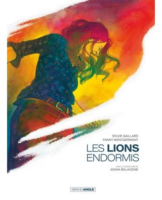 Les Lions endormis - Par Sylvie Gaillard et Fanny Montgermont - Grand Angle