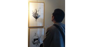 Angoulême 2008 : la revue des expos