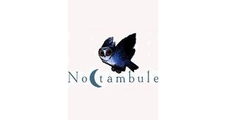 Noctambule, la nouvelle collection littéraire de Soleil
