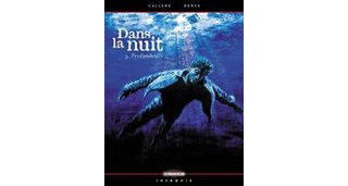 Dans la Nuit - T3 : Profondeurs - par Callède et Denys - Delcourt