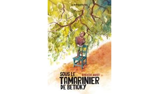 Sous le tamarinier de Betioky - Par Geneviève Marot - La boîte à bulles