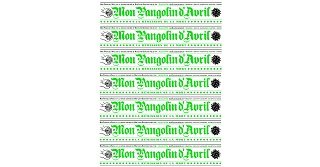 Faucompré & Killoffer ("Mon Pangolin d'Avril") : « La nécessité de l'art n'apparaît jamais plus éclatante qu'à travers ce genre d'épreuve. »