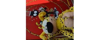 Le parc zoologique Pairi Daiza accueille des Marsupilamis