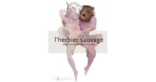"L'Herbier Sauvage" : Quand la BD parle de sexe