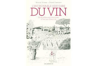 L'incroyable histoire du vin - Par Benoist Simmat et Daniel Casanave - Les Arènes BD