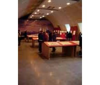 Les expositions, bilan et florilège.