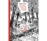 "Sauvage ou la sagesse des pierres" : une fable écolo et existentielle de Thomas Gilbert