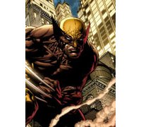 La très véridique et formidable histoire de Wolverine 