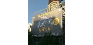 TRIBUNE LIBRE À Morgan Di Salvia : Tintin, de retour à la maison
