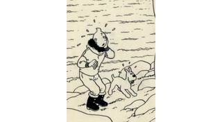 Tintin sera-t-il le roi de la BRAFA ?