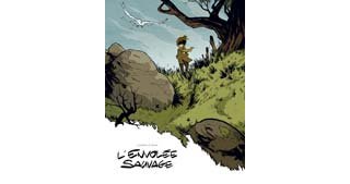 L'Envolée Sauvage - T1 : La Dame Blanche - Par Galandon & Monin - Bamboo.