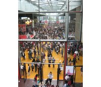 Japan Expo 2008 – 9ème Impact : Bilan et perspectives