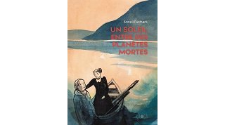 "Un Soleil entre des planètes mortes" : Anneli Furmark invente le bovarysme nordique