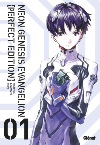 Neon Genesis Evangelion : Anges tombés du ciel...
