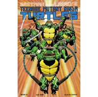 La Fantastique Histoire des Tortues Ninja. (4e partie) - Le revers de la médaille du succès