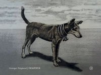 Fugitive – Par Georges Peignard – Éditions Le Tripode
