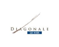 Le Prix Diagonale, vitrine d'excellence pour la bande dessinée en Belgique